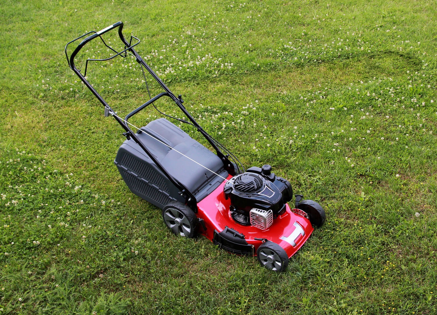 home-decor-and-garden